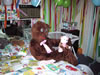platinum oasis 2001 bobo plushie platinum oasis coral sands outfest 2001