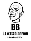 big brother is watching you